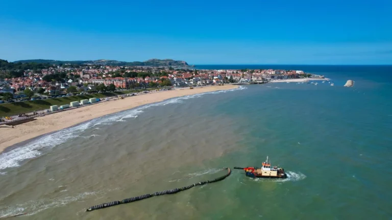 Environmental Impacts of Land Reclamation